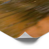 Poster Tigre du Bengale vous regardant depuis l'affiche d (Coin)