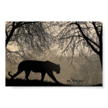 Tigre et cerf