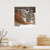 Poster Tigre Et Cub (Cuisine)