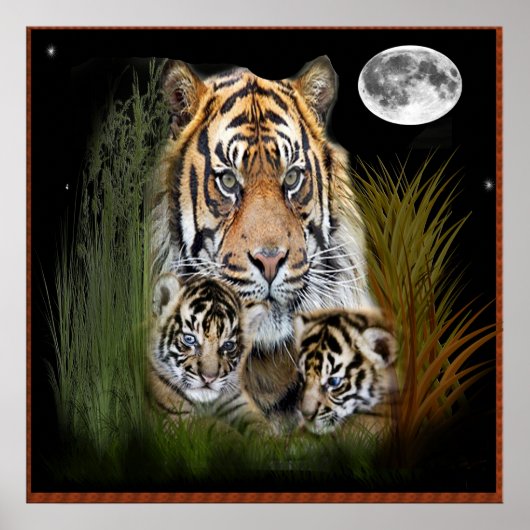 Poster tigre et petits (Devant)