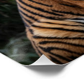 Poster Tigre et Temple (Coin)