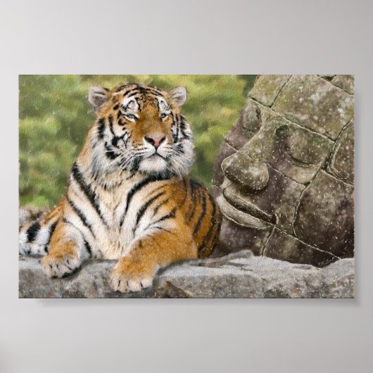 Poster Tigre et temple bouddhiste (Devant)