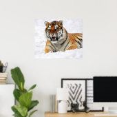Poster Tigre Montrant Ses Crocs En Posant Sur La Neige (Bureau à domicile)