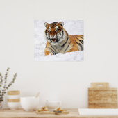 Poster Tigre Montrant Ses Crocs En Posant Sur La Neige (Cuisine)