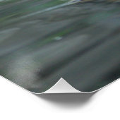 Poster Tigre_Natation (Coin)