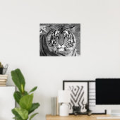 Poster Tigre noir et blanc (Bureau à domicile)