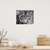 Poster Tigre noir et blanc (Cuisine)