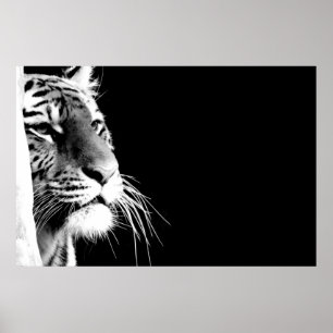 Poster Tigre noir et blanc
