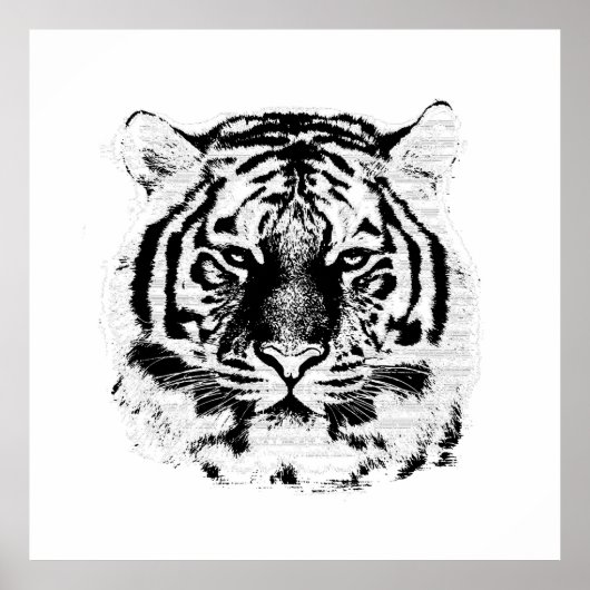 Poster Tigre noir et blanc (Devant)