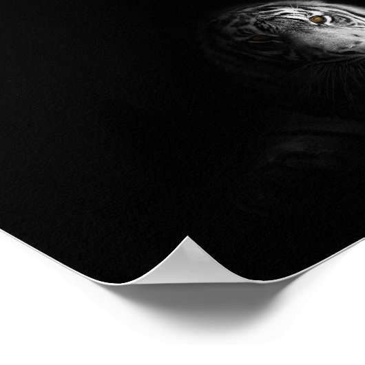 Poster Tigre, noir et blanc, (Coin)