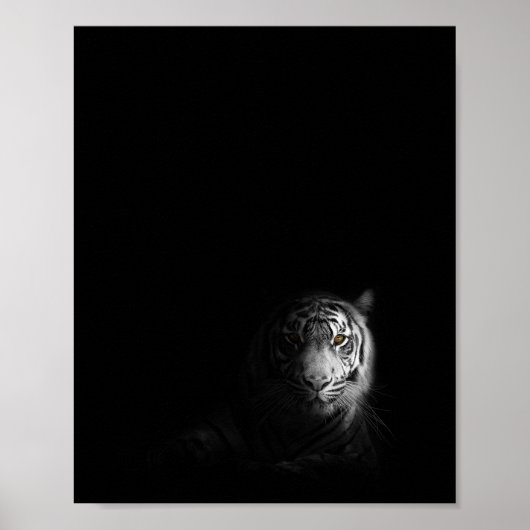 Poster Tigre, noir et blanc, (Devant)
