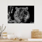 Poster Tigre noir et blanc (Cuisine)
