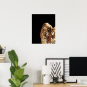 Poster Tigre (Panthera tigris) (Bureau à domicile)