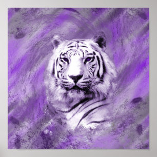Poster Tigre pourpre