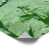 Poster Tigre relaxant (Coin)