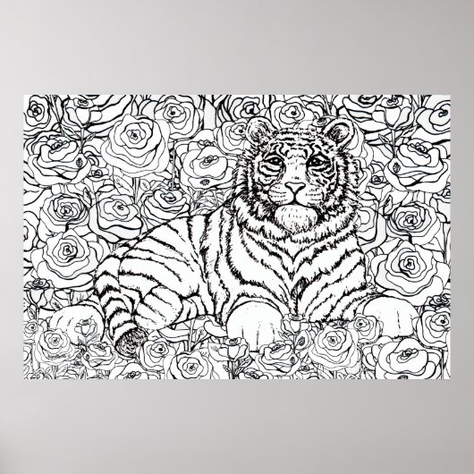 Poster Tigre sage (Devant)