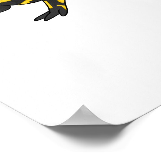 Poster Tigre salamandre (Coin)