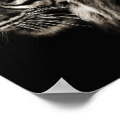 Poster Tigre, Tigre (Coin)