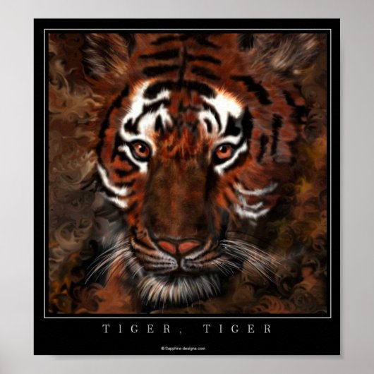 Poster Tigre, Tigre (Devant)