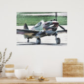 Poster Tigre volant - AVG (Cuisine)