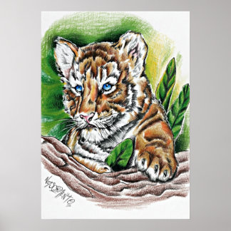 Poster Tigreau – Illustration au crayon de couleur dessin