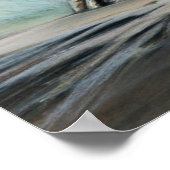 Poster Tigres (Coin)