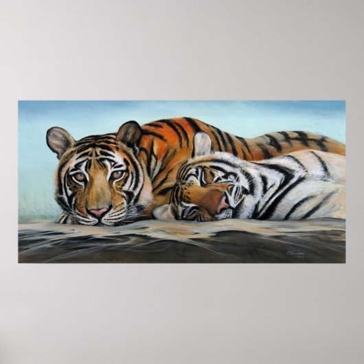 Poster Tigres (Devant)