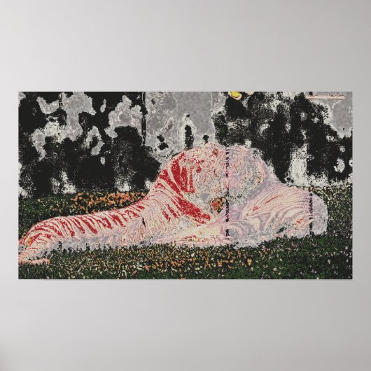 Poster tigres couchés dans le champ (Devant)