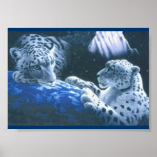 Poster Tigres magiques