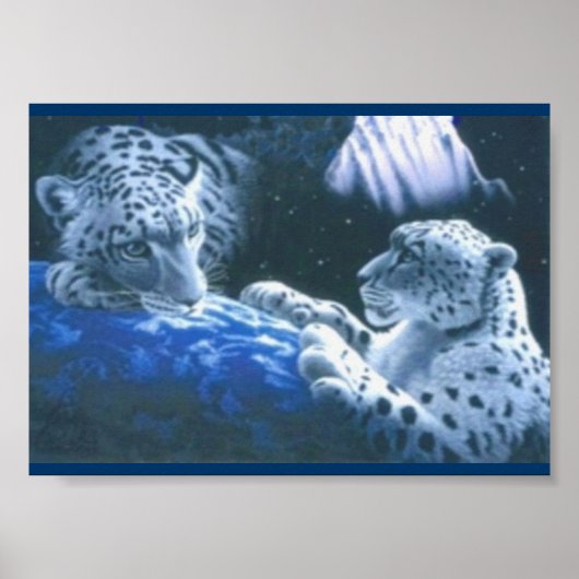 Poster Tigres magiques (Devant)
