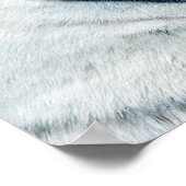 Poster Tigres rouges et blancs se faisant face (Coin)