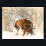 Poster tigres sur neige<br><div class="desc">Maman tigre et enfant marchant sur la neige.</div>