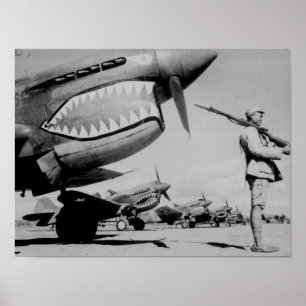 Poster Tigres volants