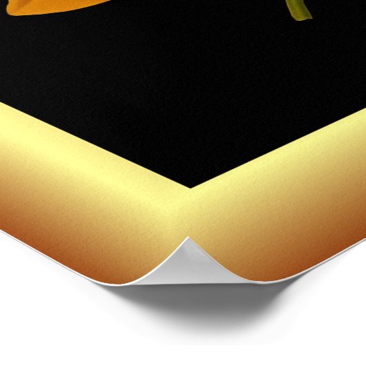 Poster Tigridia Conchiplora Var Canariensis ~ Botanique (Coin)