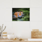 Poster-tijger Poster (Keuken)