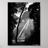 Poster Tikal (Devant)