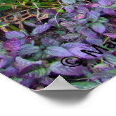 Poster Tiki dans le jardin (Coin)