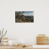 Poster Timberline sur Mammoth Crest (Cuisine)