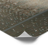 Poster Time For AI Dividends (Coin)