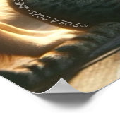 Poster Time Spent Reading with Friends (Coin)