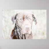 Poster Timeless Journey (Devant)