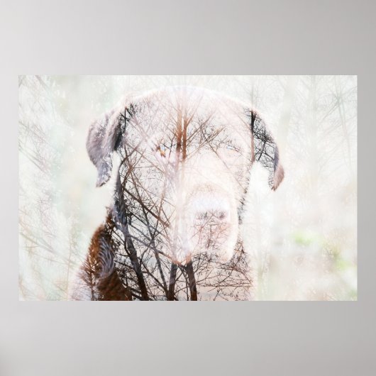 Poster Timeless Journey (Devant)