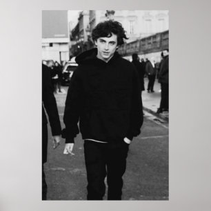 Poster timothee chalamet marche