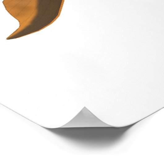 Poster Tinfoil Barb (Coin)