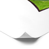 Poster Tingle (pm)-Mitch M (Coin)