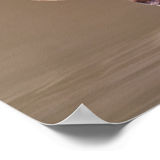 Poster Tinglit Bird Clan totem pole (Coin)