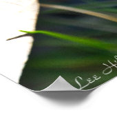 Poster Tiny Bluets dans l'affiche Feuille rouille (Coin)