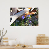 Poster Tiny Bluets dans l'affiche Feuille rouille (Cuisine)