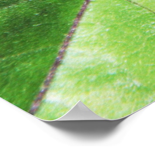 Poster Tiny Mantis (Coin)