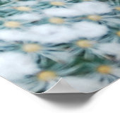 Poster Tiny rose Fleurs Plantes Cactus (Coin)